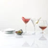 Schott Zwiesel Tritan Bar Special Martini, Single