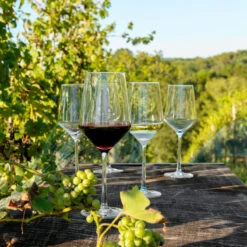 Schott Zwiesel Pure Red And White Wine Glasses Boxed Set 6+2 Free -Household Products Shop 0026120404 a2