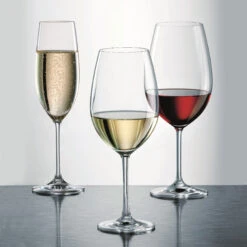 Schott Zwiesel Tritan Ivento Champagne, Single -Household Products Shop 0027115590 a2