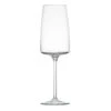 Schott Zwiesel Tritan Sensa Champagne Flute, Single 1 Schott Zwiesel Tritan Sensa Champagne Flute, Single -Household Products Shop 0028120591 a1