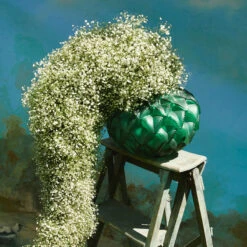 Lalique Languedoc 12" Vase, Green -Household Products Shop 10091200 a7