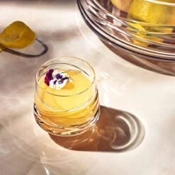 Waterford Aran 9.5oz. Whiskey Tumblers, Pair -Household Products Shop 1064632 a3