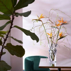 Baccarat Crystal, Tornado Large Crystal Vase 14 7/8" -Household Products Shop 2102417B a4