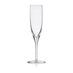 Steuben Century Champagne Glass, Single