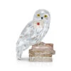 Swarovski Harry Potter's Owl, Hedwig -Household Products Shop 5585969 a1