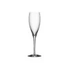 Orrefors More Champagne Flutes, Set Of Four -Household Products Shop 6310101 a1