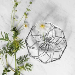 Orrefors Bloom 9" Wide Vase 8 Orrefors Bloom 9" Wide Vase -Household Products Shop 6400025 a2