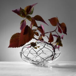 Orrefors Bloom 9" Wide Vase 10 Orrefors Bloom 9" Wide Vase -Household Products Shop 6400025 a4