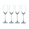 Nachtmann Vivendi Champagne, Set Of 4